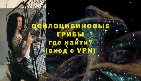 МДПВ Мегион