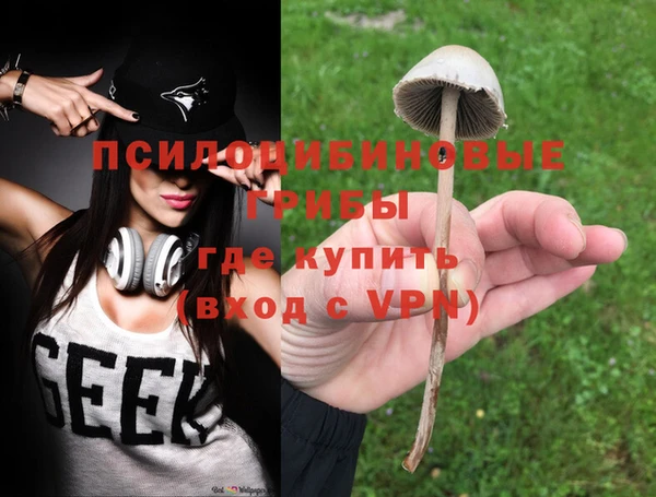сатива Медвежьегорск