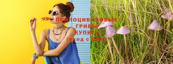 сатива Медвежьегорск