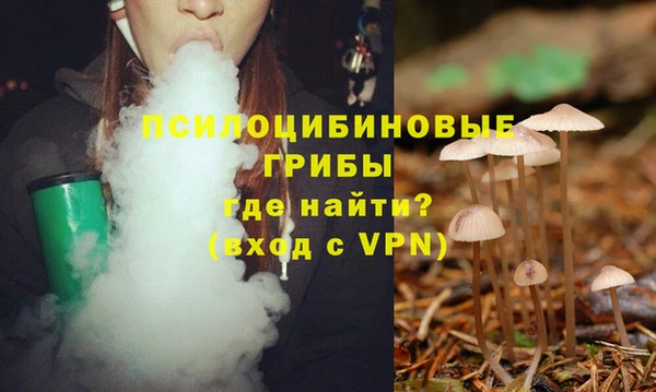 сатива Медвежьегорск