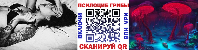 магазин    Солигалич  Галлюциногенные грибы Cubensis 